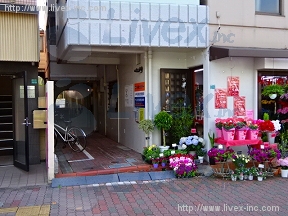 コードンブリューV