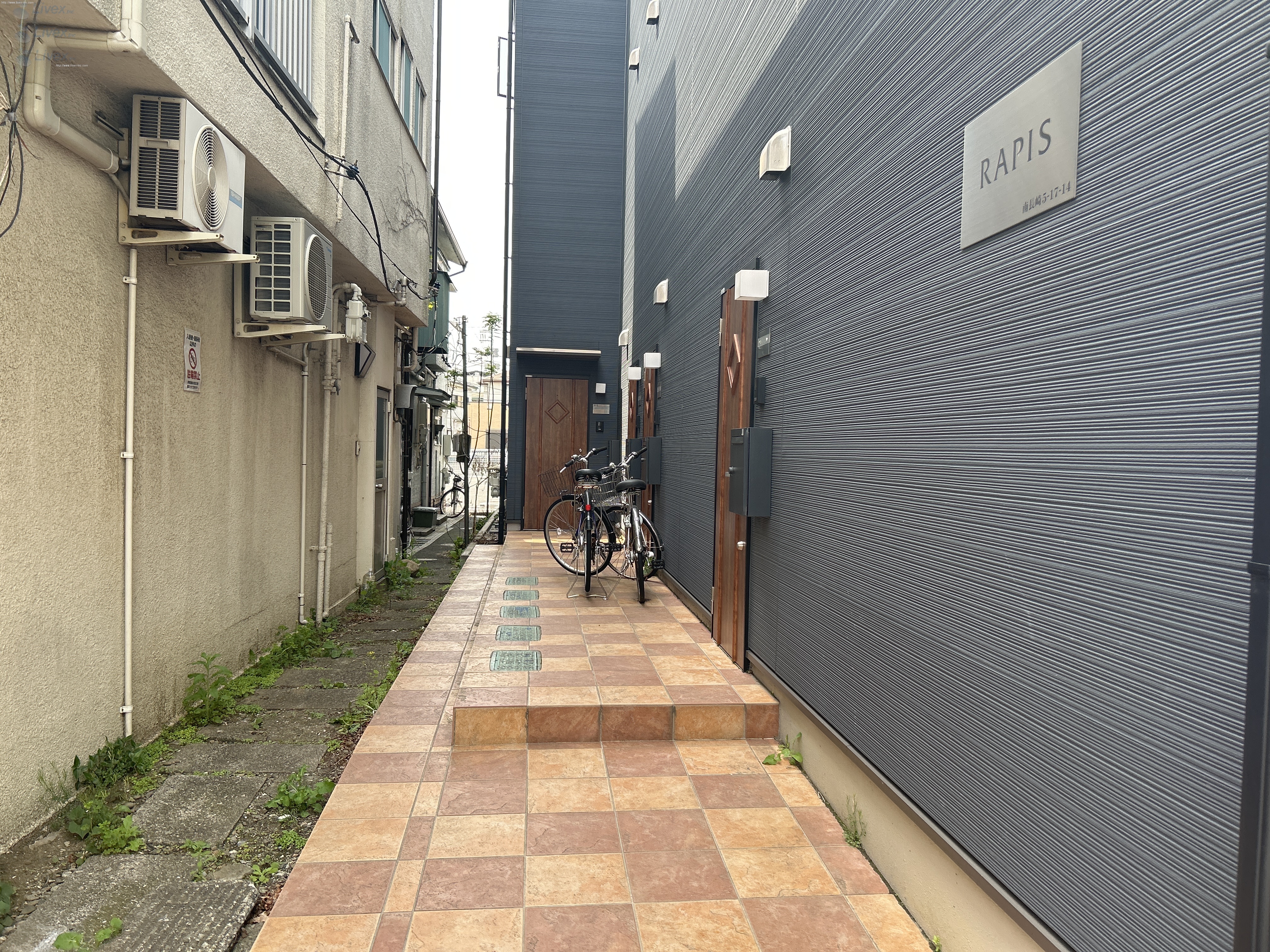 RAPIS(ラピス)