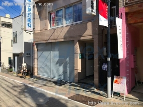 笹塚桜