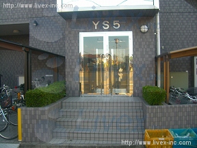 YS5