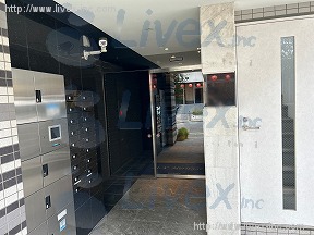M.Y Heritage(エムワイ ヘリテージ)