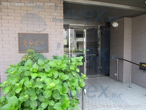 金泉
