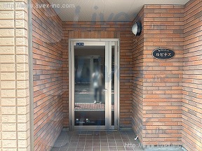 ルピナス