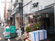 銀座8 Y&yホワイト