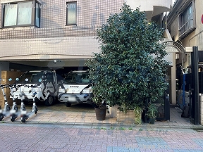 カーサマルナカ