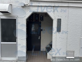 新井