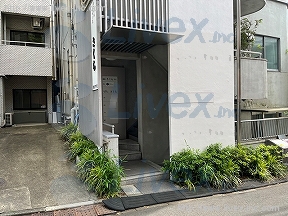 原宿さくら