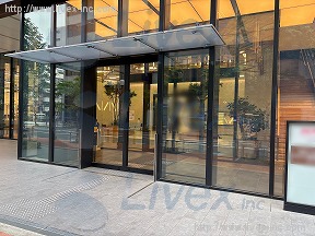 新虎安田