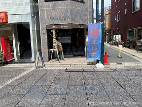 常松