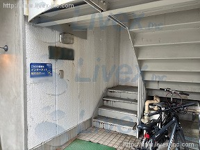グリーンリーフ