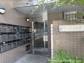 ドミール小石川