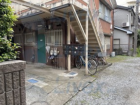 林