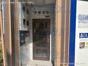 小柴