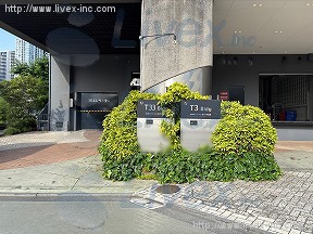 T3 T33号棟