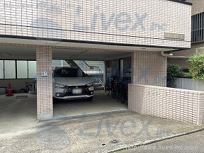 シェモアII