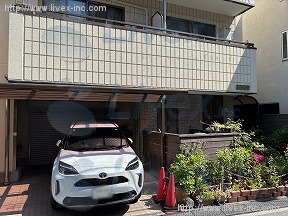 野原