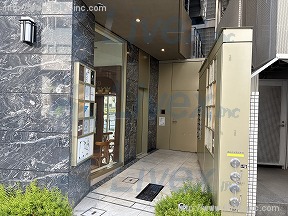 外苑いちょうの杜