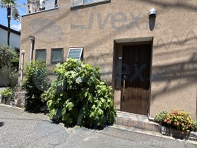 SHINJUKU NEW VILLA