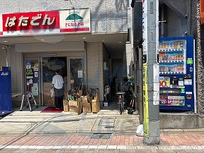 山野