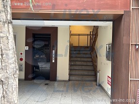 柳小路東角