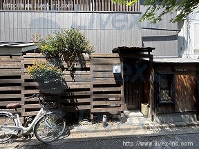 游2
