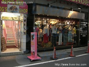 サンライズ