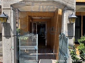 サン・フローラ・キク