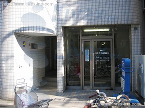 ステラ