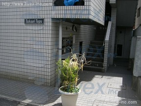 タカエイトップス