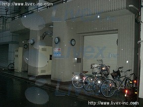 ルネ・ヨネクラ