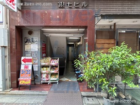 銀七