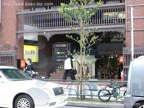 青山エリー