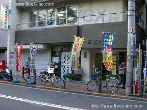 椿