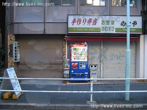 白樺