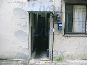 英光