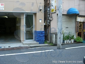エンドウ