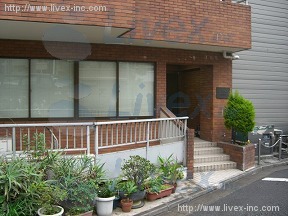 コート金子