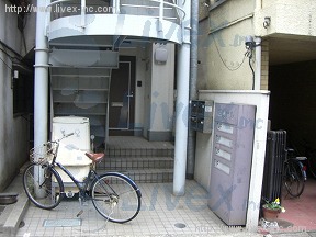 日恵