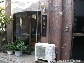 鳥光