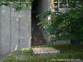 KSブロッサム