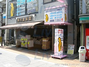 市川