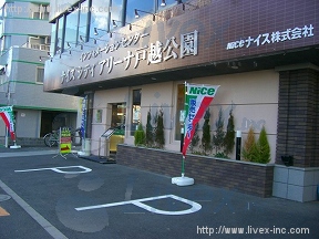 損保ジャパン中延