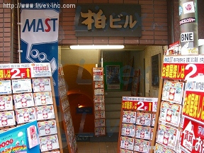 カシワ