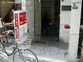 松月