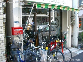 岸