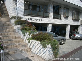 トヨダコーポラス