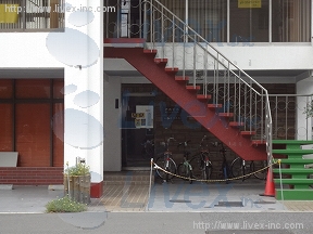 君嶋