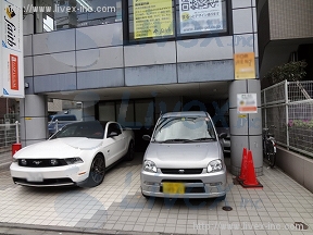 パールモア一交