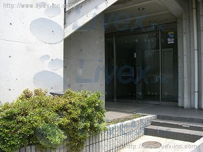 山英