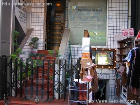 蒲原